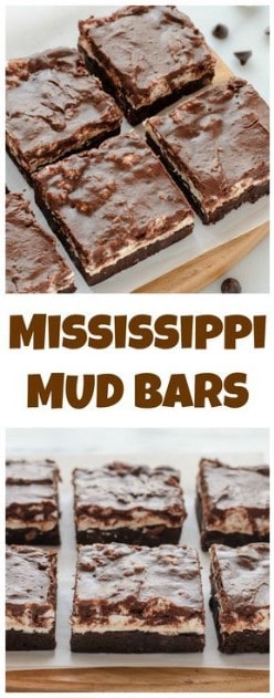 Nut Dessert Recipes: Mississippi Mud Bars Recipe