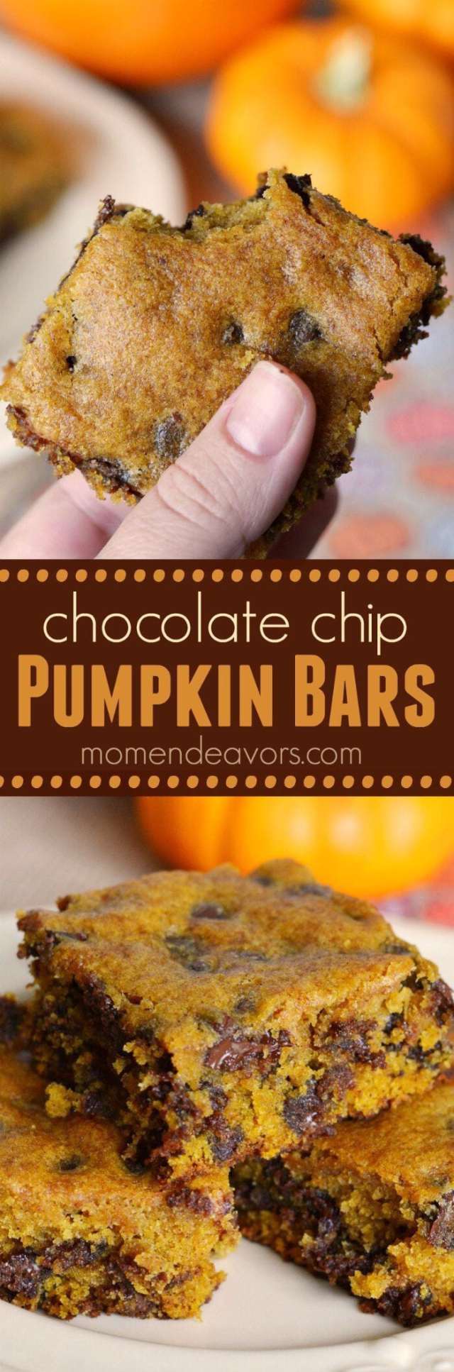 Pumpkin Spice Recipes: Chocolate Chip Pumpkin Bars