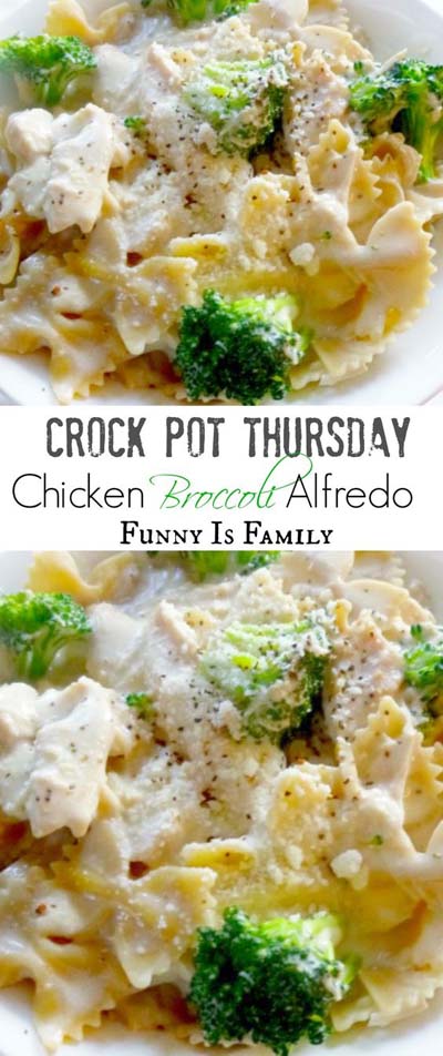 Crock Pot Chicken Broccoli Alfredo