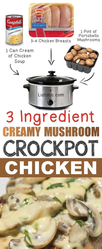 Easy Creamy Mushroom Chicken