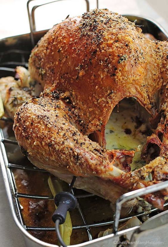 Thanksgiving turkey recipes: Mayonnaise Roasted Turkey Recipe