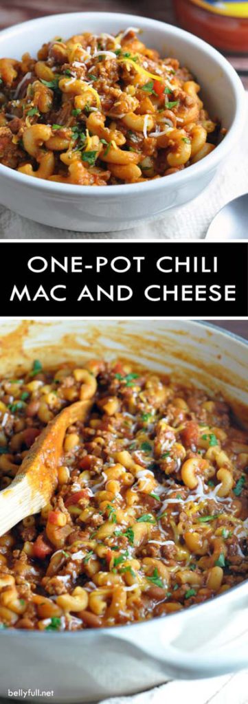 40 Easy Chili Recipes To Keep You Warm This Winter - The Daily Spice