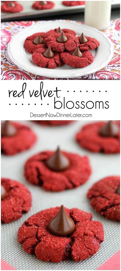 Valentines Day Treats: Red Velvet Blossoms