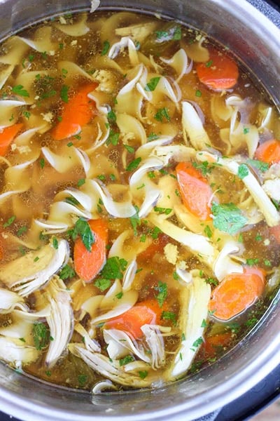 Instant Pot Chicken Noodle Soup