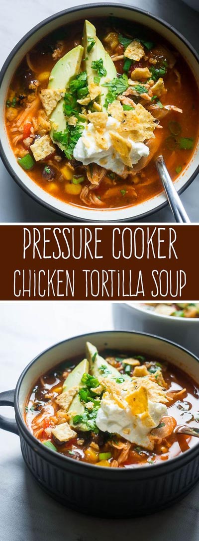 Chicken Instant Pot Recipes: Pressure Cooker Chicken Tortilla Soup