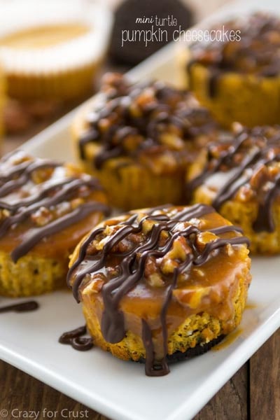 Mini Turtle Pumpkin Cheesecakes