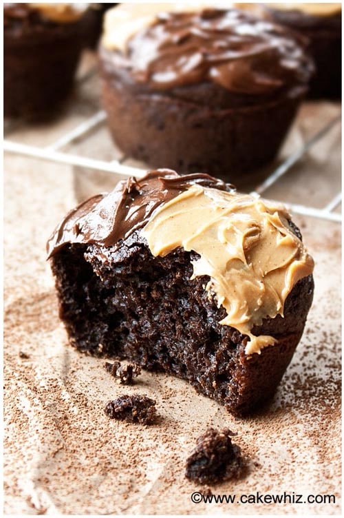 Sugar Free Chocolate Cupcakes